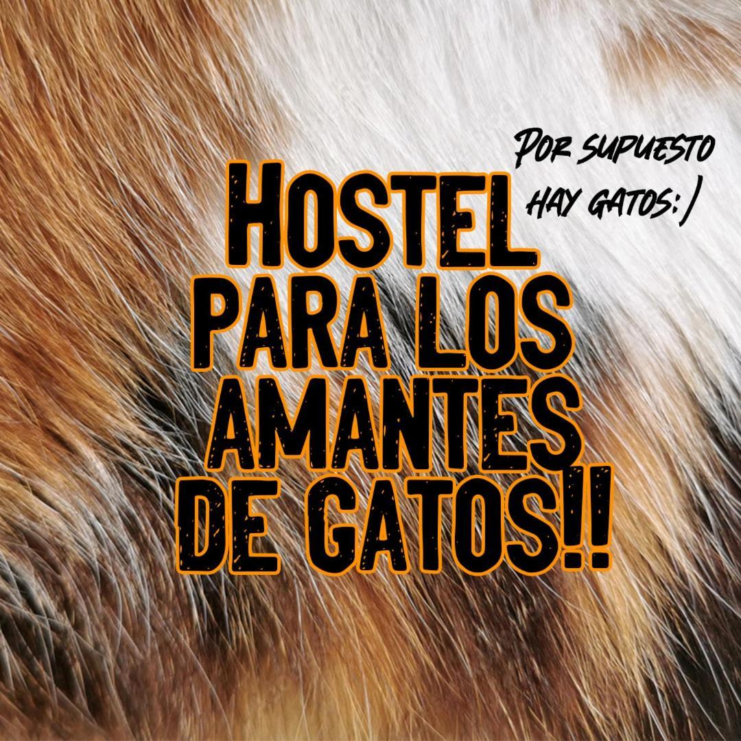 Posada De Los Gatos Bed & Breakfast Puerto Natales Dış mekan fotoğraf